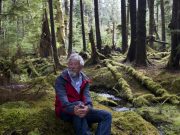 The Sacred Balance: Learning from Indigenous Peoples