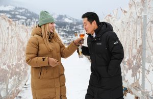 Winter in Wine Country Icewine Experience