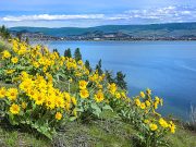 HodgePodge: Hello and welcome sunshine