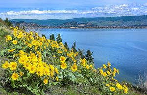 HodgePodge: Hello and welcome sunshine