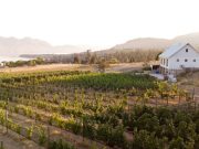 Books for Mental Health