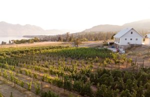 Books for Mental Health