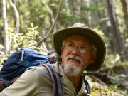 Asian Heritage Month reminds us that diversity is strength