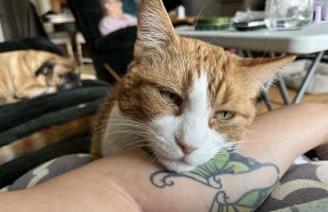 A DEATH IN THE FAMILY