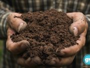 Life-filled and life-giving, soil is too precious to waste