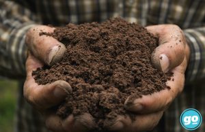 Life-filled and life-giving, soil is too precious to waste