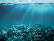 Record ocean heating presents stark warning