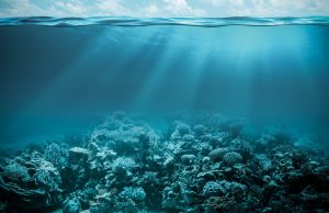 Record ocean heating presents stark warning