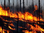 Hodge Podge By Charlie Hodge – Shame on me