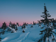 The road to 100 per cent renewable electricity