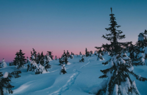 The road to 100 per cent renewable electricity