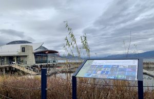 Dine Around, Stay A While, and Winter Wine Festival Spark A Fresh Start