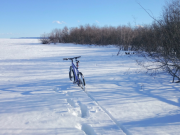 Science Matters: Resolutions for a happy, fossil-free new year!