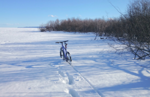 Science Matters: Resolutions for a happy, fossil-free new year!