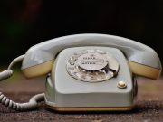 HodgePodge: Still alive, thankfully