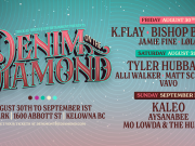 Denim on the Diamond announces artists, tickets now on sale