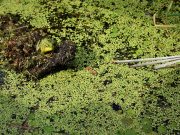 Science Matters: Let’s take back the planet and leave fossil fuels in the ground!