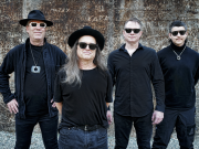 Violent Femmes at Commodore Ballroom