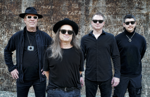 Violent Femmes at Commodore Ballroom