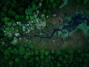 Science Matters: Wetlands are critical to planetary health and Indigenous and human rights