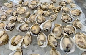 Osoyoos Oyster Festival Pops Back to Rave Reviews
