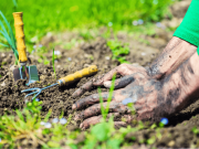 HodgePodge: Tez in the garden