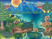 VPAG Opens 4 New Exhibitions