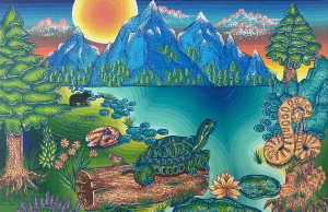 VPAG Opens 4 New Exhibitions