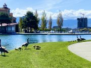 Finding beauty in our own backyards