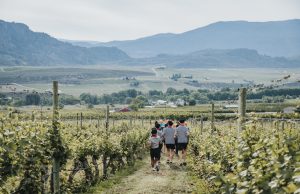 Combining running and wine tasting turns out to be the perfect pairing