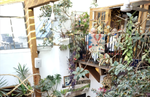 How to Elevate your Okanagan dining experience