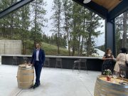 Seeing the forest for the wine