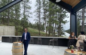 Seeing the forest for the wine