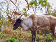 Science Matters: False balance favours industry over wildlife