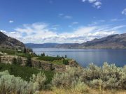 Concurrent Dinners on Bottleneck Drive for Wine and Dine