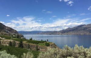 Concurrent Dinners on Bottleneck Drive for Wine and Dine