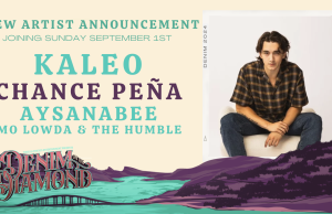 New Denim on the Diamond Artist Announcement