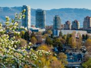 HodgePodge: Remembering Rita Milne