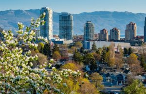 HodgePodge: Remembering Rita Milne