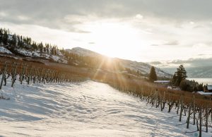 The Countdown Is On to Winter Wine Festival!