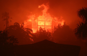 Science Matters: Los Angeles wildfires illustrate climate “whiplash” effect