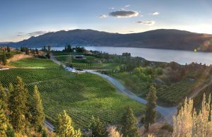 “Certified Local” by Haywire Winery Returns for Okanagan Wine Lovers