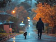 HodgePodge: Plan ahead to be dead