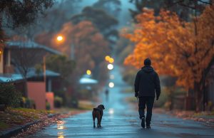 HodgePodge: Plan ahead to be dead