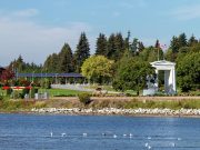 HodgePodge: Trump tariffs terrifying