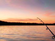 HodgePodge: Old Steve