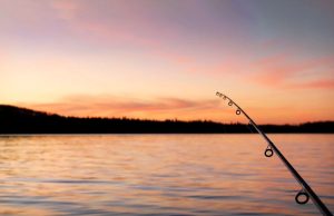 HodgePodge: Old Steve