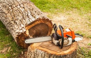 HodgePodge: Tree cutter, Tree time Brett