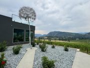 Tastings and Tapas at Liquidity Winery