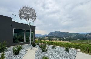 Tastings and Tapas at Liquidity Winery